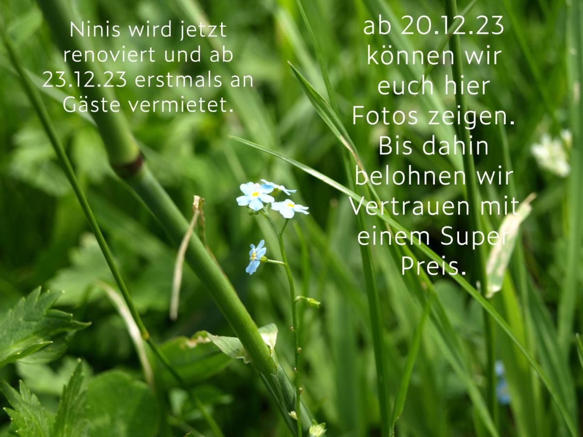Ninis - Ferienhaus Im Bregenzerwald Egg Esterno foto